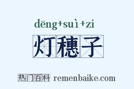 灯穗子是什么意思的图片